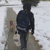 every day is bring your pet to work day at continued